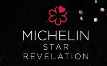 Michelin Revelation