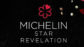 Michelin Revelation